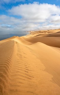 Sand dunes and sea, Atlantic coast and sandy desert with sea of dunes, Sandwich Harbour, Namib