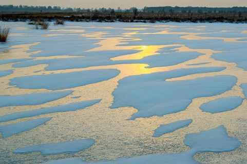 Winter landscape with snow and ice in Rehdener Geestmoor, Rehden, Lower Saxony, Germany
