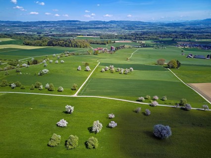 Blooming fruit trees, Beinwil, Freiamt, Canton of Aargau Switzerland