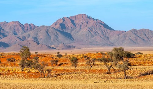 Dunes, landscape in the NamibRand Nature Reserve, in the back Naukluft Mountains, Namib Desert,