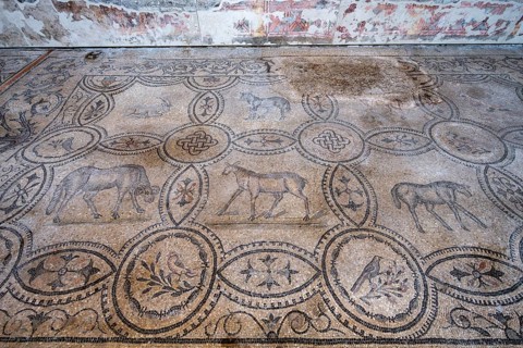 Detailed floor mosaic with geometric patterns and depictions of animals, Basilica di Santa Maria
