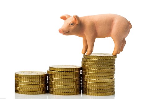 A pig stands on a pile of euro coins. Rising costs for animal feed in agriculture, rising meat