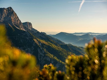Morning atmosphere at Rauhen Kopf, Untersberg in the background, Berchtesgaden Alps,