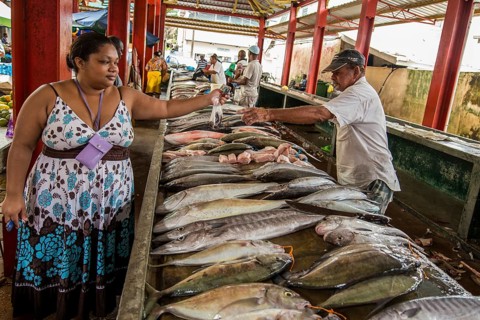 Sir Selwyn Fish Market, Clarke Market, Fish, Fish, Sea Animals, Victoria, Mahe, Republic of