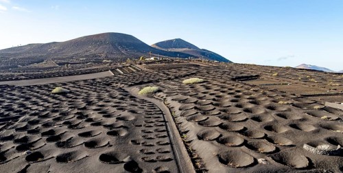 Typical drywall viticulture in volcanic landscape, on volcanic ash, lapilli, aerial view, vines, La