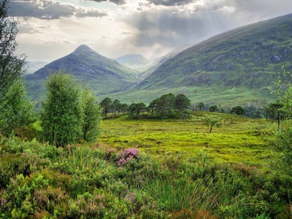 Picturesque Glen Affric valley, Caledonian pine forest, heathland, distinctive mountains on the