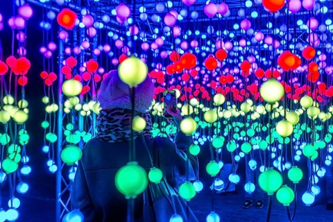 Park lights, winter event, in the Grugapark in Essen, many different light installations, across