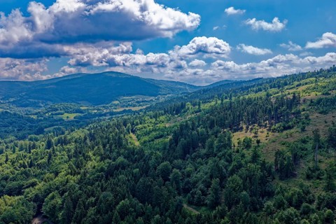 Landscape on the Owl Mountains, Gory Sowie, part of the Silesian Central Sudetes in southwestern