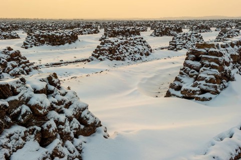 Peat in winter, moor, Goldenstedt, Lower Saxony, Germany
