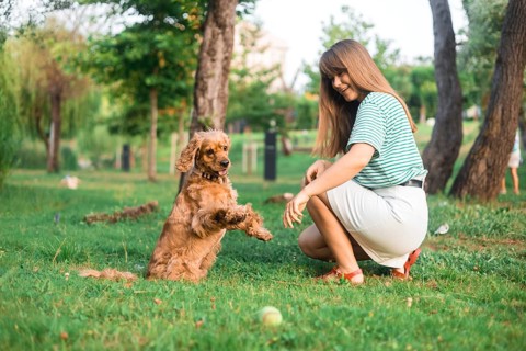 A woman crouching while a dog performs a trick in a park with trees