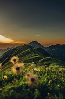 Hiking tour on the Hönig mountain in the Lechtal valley near Berwang in Tyrol, Austria