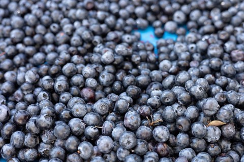 A close-up image of fresh blueberries with a dark blue hue at a market