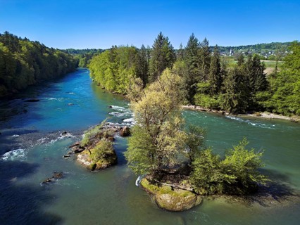 Small island in the Reuss river, Niederwil, Gnadental, Bremgarten district, Aargau canton,