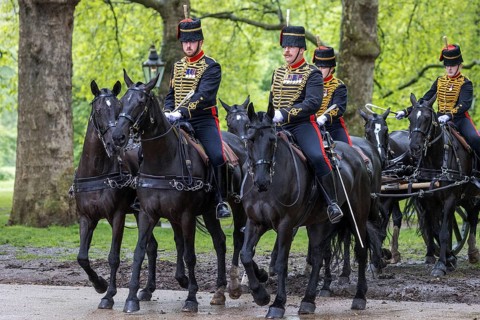 Ceremonial riders of the King's Troop Royal Horse Artillery lead black horses in dress uniform