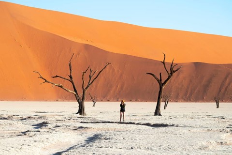 Dead trees in front of red sand dunes, atmospheric white salt pan Dead Vlei, Sossusvlei, Namib,