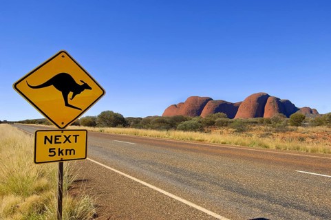 Australia, warning sign, beware animals, kangaroo, Uluru, Ayers Rock