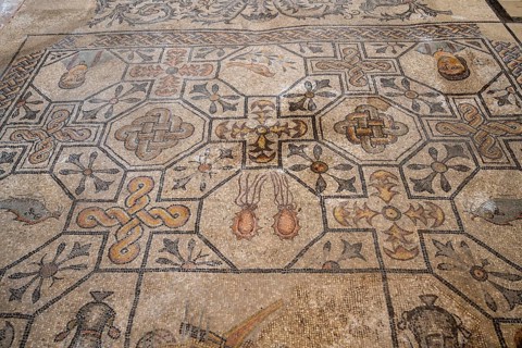 Detailed floor mosaic with depictions of marine animals, Basilica di Santa Maria Assunta, Basilica