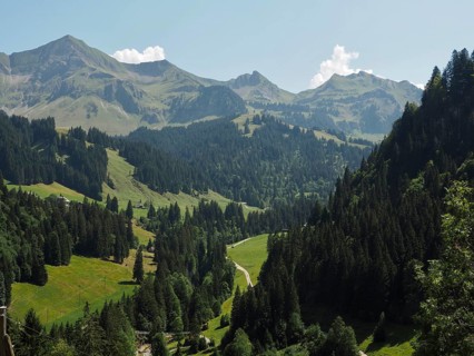An impressive mountain backdrop with thick forests and vast meadows in a sunny valley, UNESCO