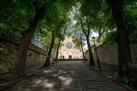 Via della Cattedrale with trees, San Giusto Martire Cathedral, Trieste, Friuli-Venezia Giulia