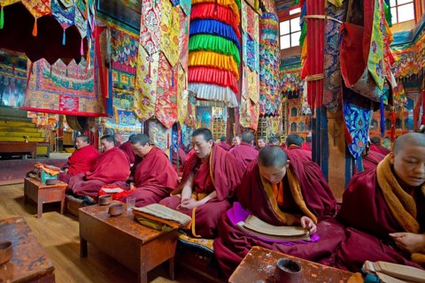 Buddhist nuns during a recitation in Terdom Monastery, Tidro Gompa Nunnery, Terdom, Tibet, China