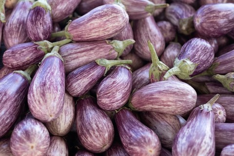 A pile of fresh striped purple eggplants on display at the market