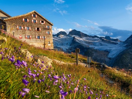 Kürsinger Hütte, glaciated mountains at the back, flowers in the front, Venice Group, Hohe Tauern