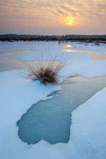 Winter landscape with snow and ice in Rehdener Geestmoor, Rehden, Lower Saxony, Germany