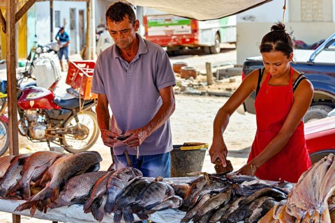 Man and woman process fish at a market stand, everyday work in the open air, market scene in a