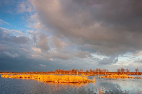 Autumn Goldenstedter Moor, Goldenstedt, Lower Saxony, Germany