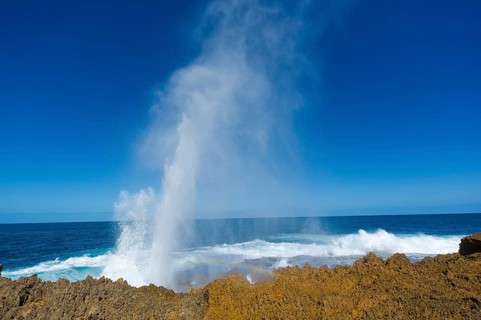 Hot springs near Carnarvon, Australia, water fountain, potholes, Carnarvon, Western Australia,