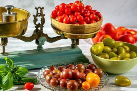 Fresh tomatoes decoratively arranged on and around old scales, natural lighting