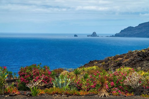 Colorful vegetation on volcanic land framing a scenic view of the atlantic ocean and rocky offshore