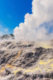 Prince of Wales and Pohutu geysers erupting, Te Puia Thermal Valley, Rotorua, Bay of Plenty, North