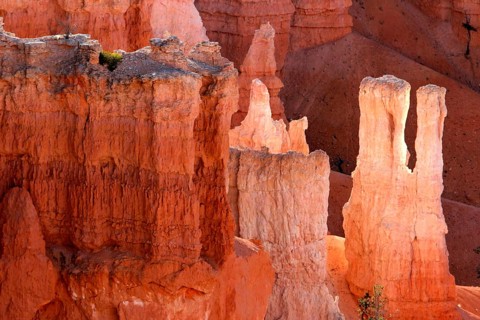 Geography, Bryce Canyon NP, Utah, USA, National Park, Erosion, Sandstone, Bryce Canyon NP, UTAH,