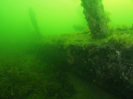 Underwater wreck overgrown with seaweed in green waters, Severn (Trubbnos) wreck dive site,