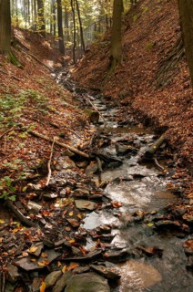 Buchenberg, Germany, Greiz, Thuringia, stream, brook, rivers, high size, portrait, landscape,