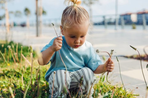 Young child girl with blonde hair sits on the grass in a park, carefully examining plants and