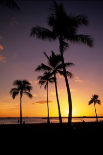 Honolulu Beach - Hawaii, Honolulu, Hawaii, United States