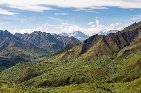 Tundra and mountainous landscape of the Alaska Range, Sable Pass, Denali National Park and