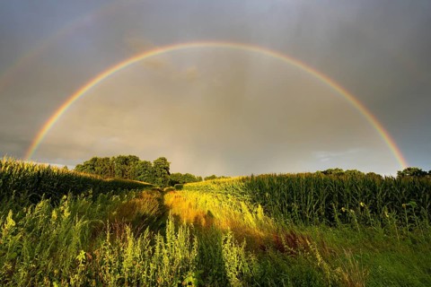 Rainbow over the Vechtär Marsch, Vechta, Lower Saxony, Germany