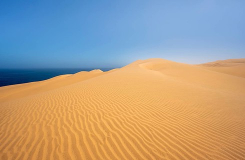 Sand dunes with wave patterns, dune sea, sandy desert, impressive desert landscape, Namib Naukluft