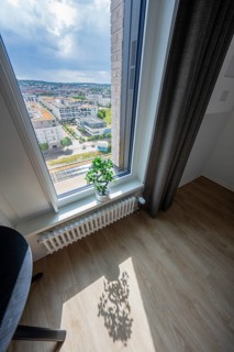 View from a window with potted plant on window sill, urban landscape below, Boarding House of