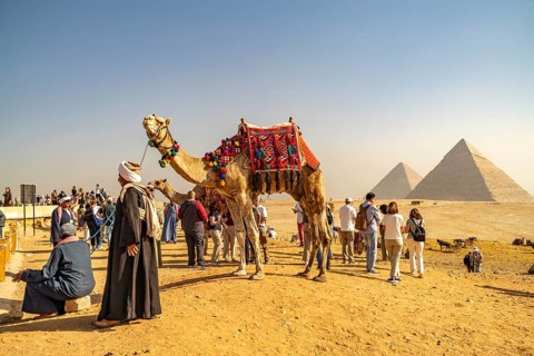 Camels and tourists in the desert near the Giza pyramids, Egypt