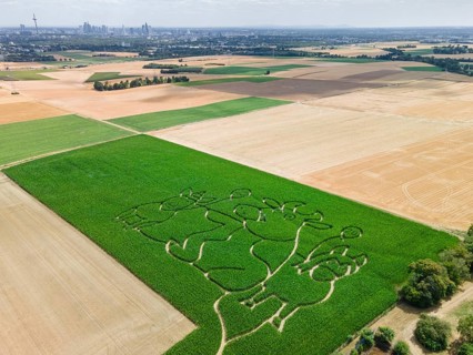 The Maisgeister maize maze near Weißkirchen, close to Frankfurt am Main, will feature ‘Lieselotte'