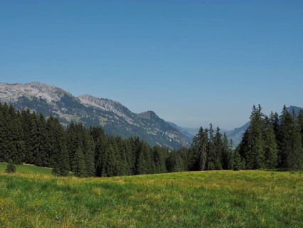 Mountain landscape with karst mountains, green meadow, in front of pine hills and rocky mountains,