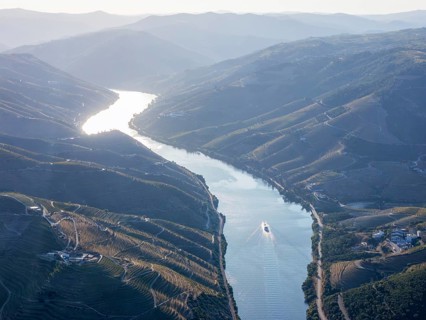 Aerial drone view of a tourist cruise boat traveling through the Douro Valley between terraced