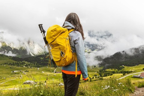 Back view of middle aged gray hair woman hiker yellow backpack overlooking lush green alpine valley
