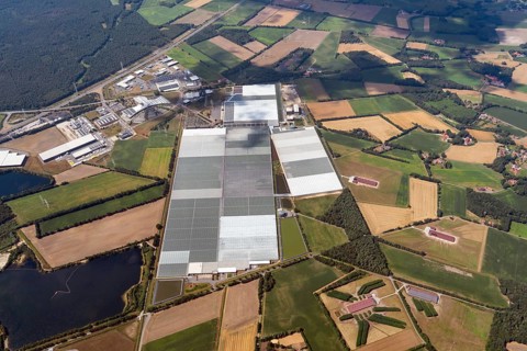 Emsflower, horticulture, greenhouse, vegetables, flowers, tourism, viewing, glazing, glass house,