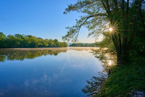 Morning sun illuminates the riverbank as the water flows calmly, Boxtal, Main-Boxtal, Tauber-Kreis,
