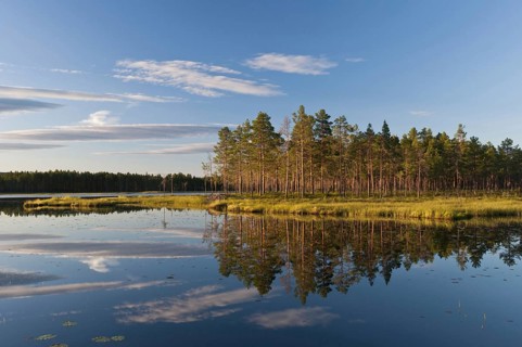 Evening at a forest lake, Rena, Hedmark, Norway